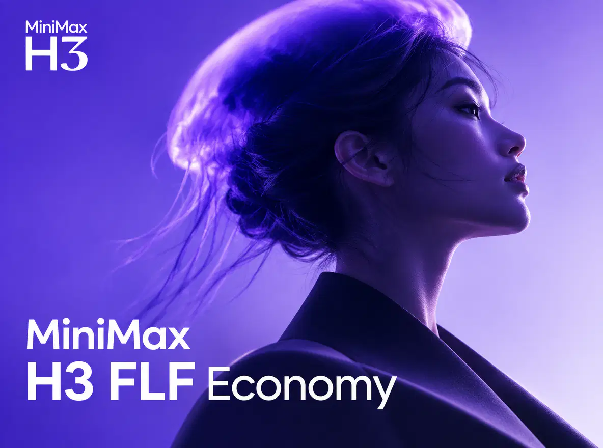 MiniMax H3 FLF Economy